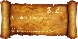 Bicskei Levente névjegykártya